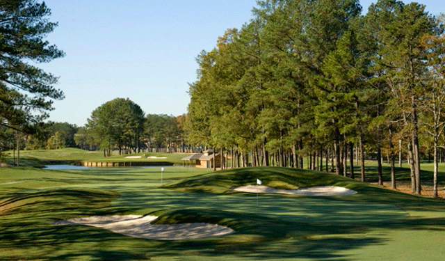 Dogwood Trace